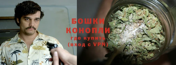 крисы Наволоки