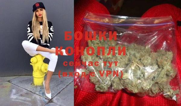 дживик Долгопрудный