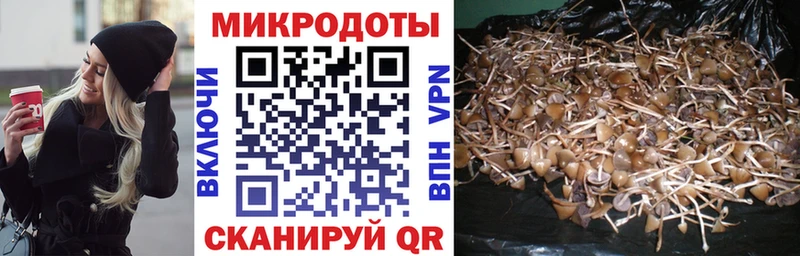 закладки  omg ссылка  Псилоцибиновые грибы Psilocybe  Кострома 