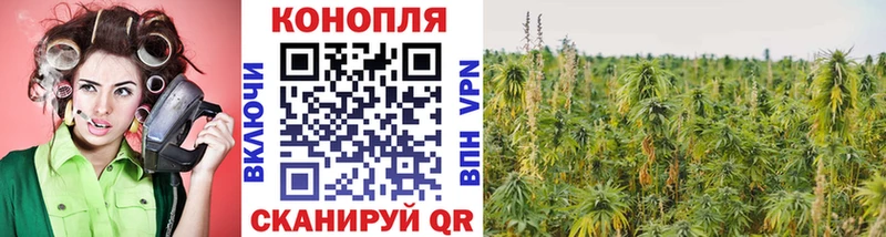 закладки  Кострома  Бошки марихуана Amnesia 